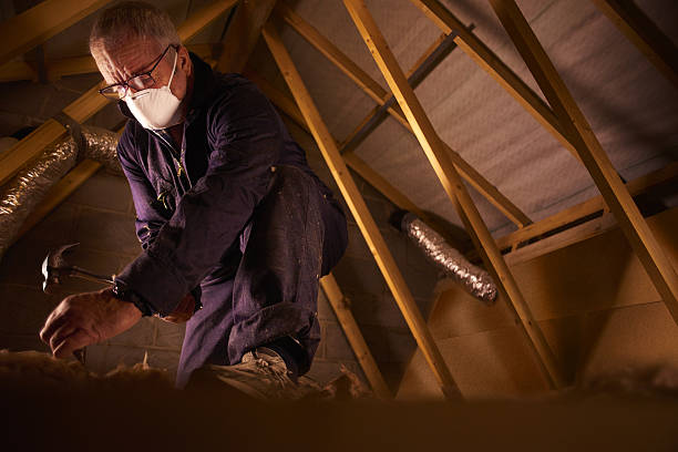 Best Home Insulation Services  in Winchester, VA